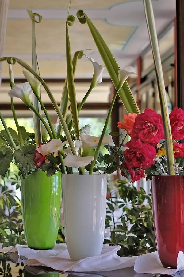 Villa Madrina Lovely And Dynamic Hotel غارْدا إيطاليا