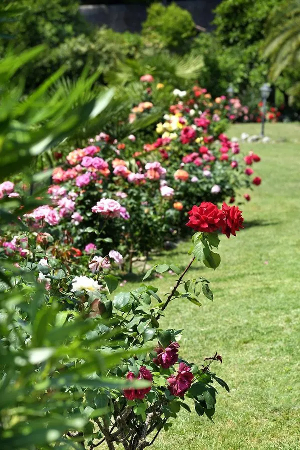 Villa Madrina Lovely And Dynamic Hotel Garda   Garda (Verona)